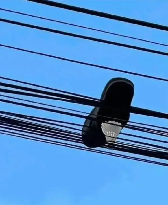 b6.jpg