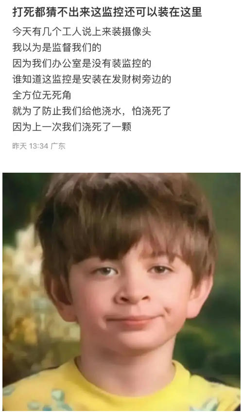 b5.jpg